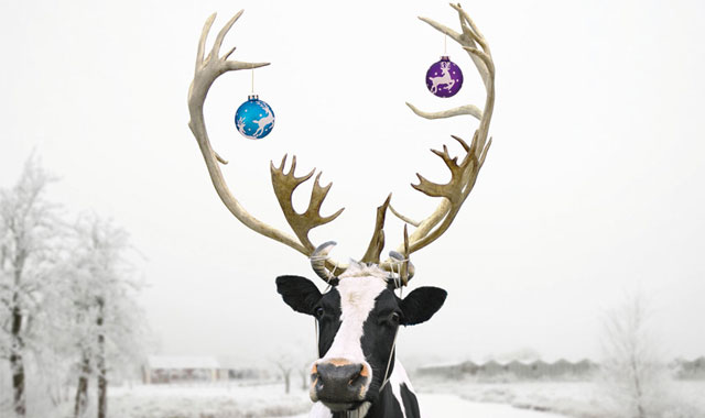 Frohe Weihnachten